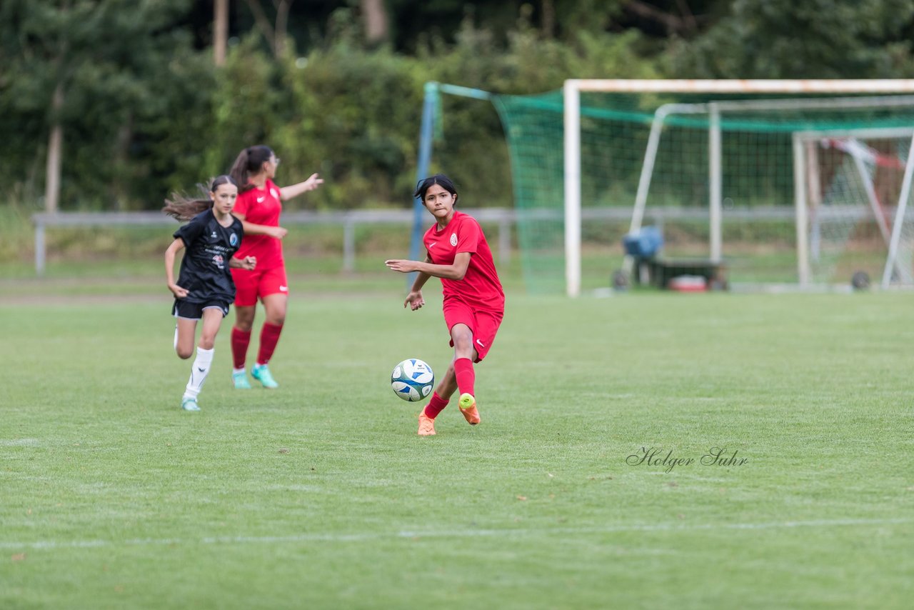 Bild 206 - wCJ VfL Pinneberg - Eimsbuetteler TV : Ergebnis: 0:5